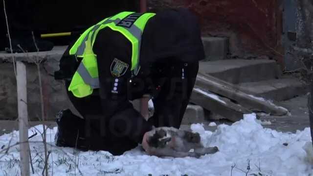 Во Львове полицейские реанимировали пострадавшую во время пожара кошку