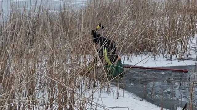 Под Запорожьем убийцы 11-летнего мальчика признались в расправе над женщиной