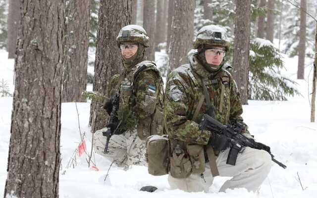 Эстония из-за российской угрозы увеличит расходы на оборону