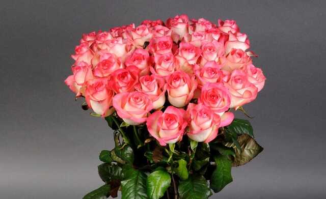 Мошенник выманил у украинки более 7 тыс. грн