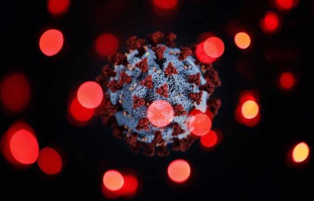 В Раде рассказали, когда ожидать пик коронавируса