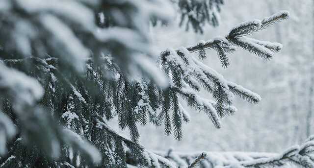 Снег и похолодание: синоптики дали прогноз на следующую неделю