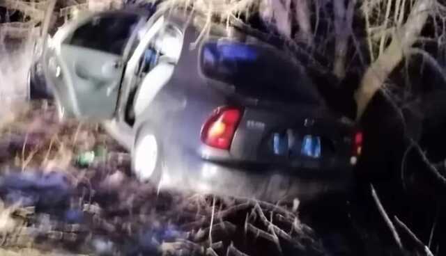 Смертельное ДТП в Черкасской области. Легковушка влетела в дерево