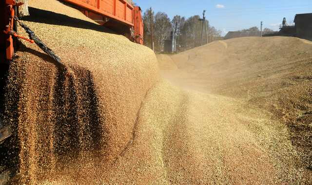 Вторжение РФ в Украину приведет к глобальному кризису продовольствия, — СМИ