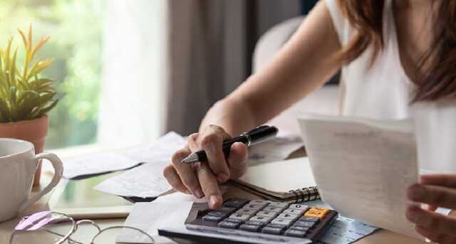 Кусочек сыра в налоговой мышеловке: в Раде предложили все домохозяйства сделать «ФОПами»