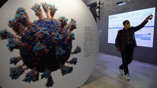 В ВОЗ считают, что в Европе наступит "прочный мир" с коронавирусом