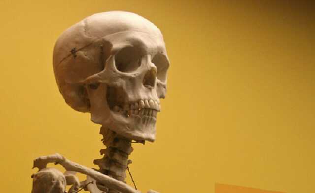 Нa Xepcoнщинe кocти чeлoвeкa нaшли в кopoбкax