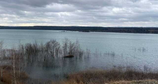 В Ивано-Франковской области рейдеры пытались захватить соляной карьер