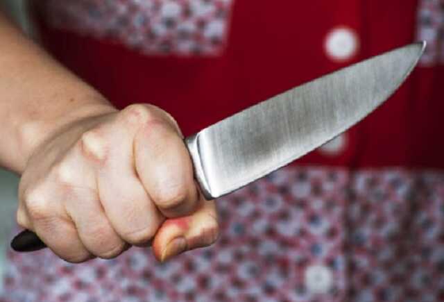 Под Киевом парень вступился за мать и получил ножом от соседки