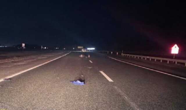 ДТП Ярославского: из морга исчезли вещи погибшего