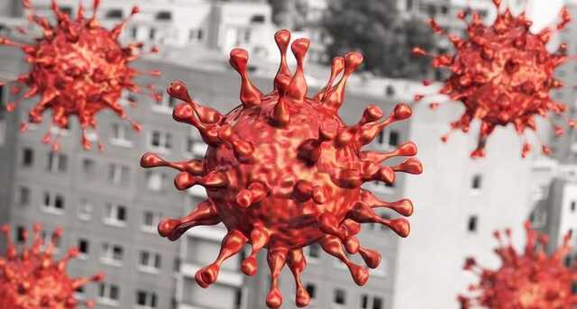 Число заражений коронавирусом резко снижается — ВОЗ