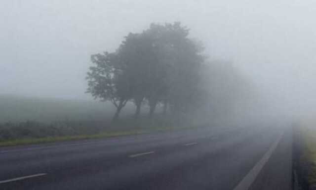 Украину ночью накроет туман: спасатели предупредили об опасности на дорогах