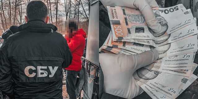 В Дрогобыче патрульный брал взятку у перевозчиков древесины