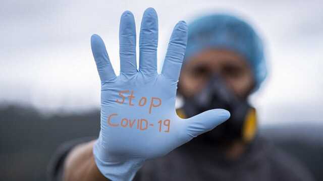    35 .   COVID-19,  282 