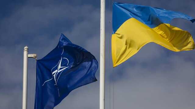 Большинство немцев против вступления Украины в НАТО — опрос