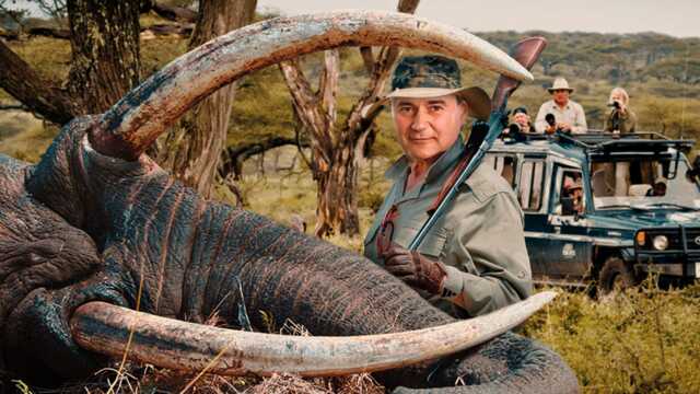 СМИ: Глава Северного апелляционного хозсуда Олег Хрипун поехал охотиться на слона в Кению