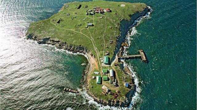 Защитники острова Змеиный - живы, но находятся в плену, - Генштаб