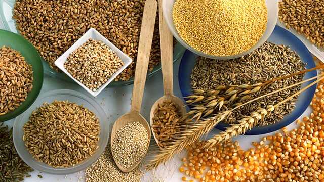 Юлия Самаева: Год без хлеба. Как его пережить?