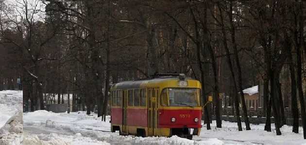 Из Пущи-Водицы в Киеве за два дня эвакуировали более 500 жителей