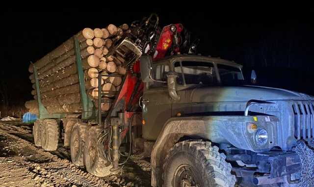 В Закарпатье разоблачили место хранения незаконно срубленного леса