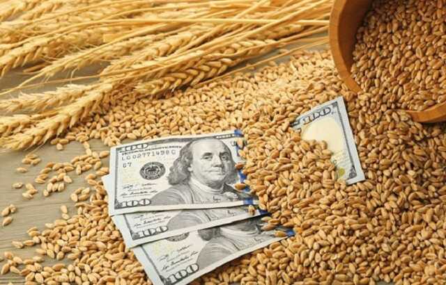 Еще один черный лебедь для мира в 2022 году — эксперт