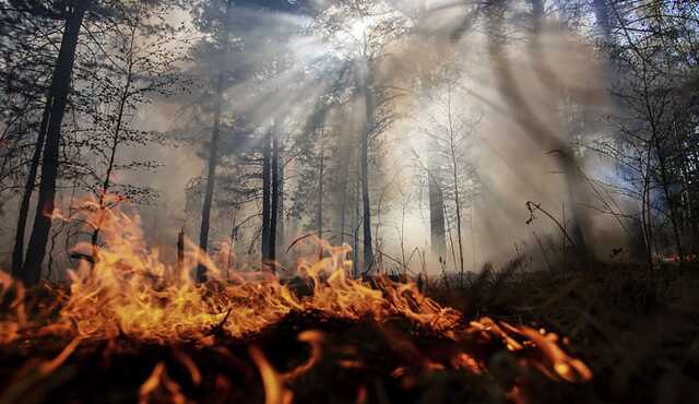 Во Львовской области за минувшие сутки зарегистрировали 74 пожара сухой травы