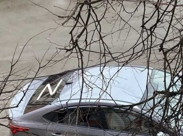 В Казахстане машину россиян с "Z-свастикой" проучили патрульные