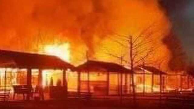 Украинцев просят помочь эвакуировать животных из уничтоженного оккупантами экопарка на Киевщине