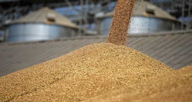 Украина начала поставлять зерно в Европу поездами