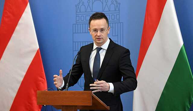 МИД Венгрии раскритиковал оппозицию за поддержку акции в память о погибших мариупольцах