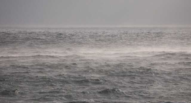 Россия блокирует в Черном море более 90 судов с продовольствием