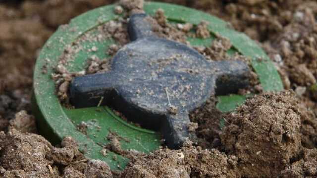 На Сумщине собака спасла жизнь хозяйке, взорвавшись на растяжке