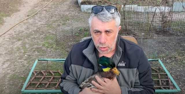 Утка боевая модифицированная: Комаровский показал биологическое "оружие" украинцев