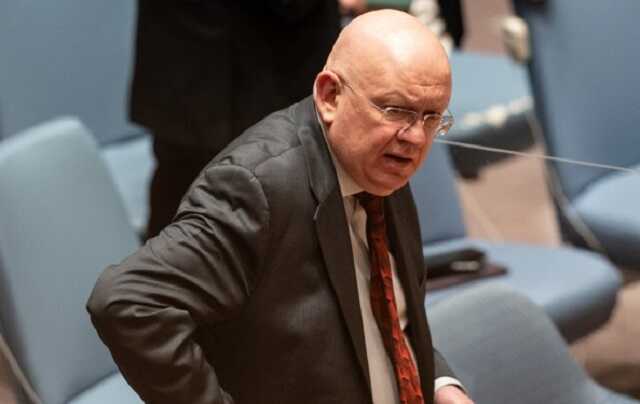 "Вырезали на груди свастику": представитель России рассказал Совбезу ООН о "нацистах" в Украине