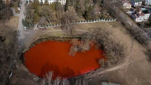 Пруд рядом с посольством России в Вильнюсе «залили кровью»