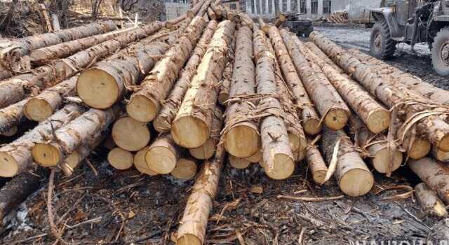 В Закарпатской области обнаружили склады с древесиной на 2 миллиона