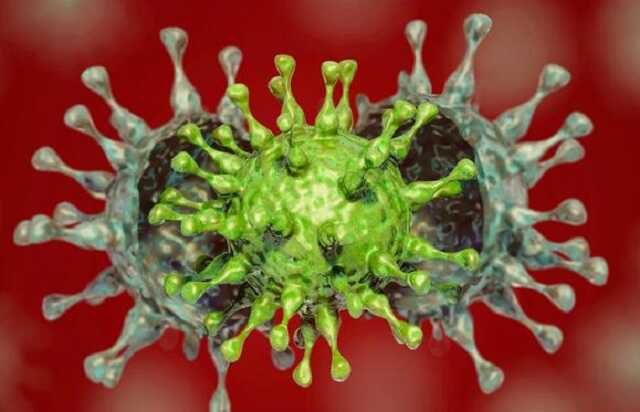 Пандемия коронавируса далека от завершения, он активно распространяется и мутирует — ВОЗ