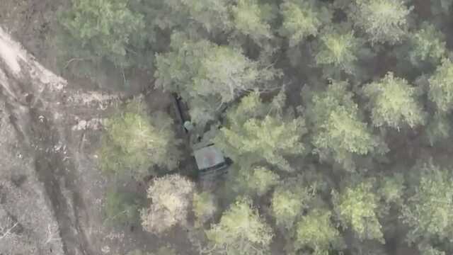 Замаскировались ветвями и думали спастись: ВСУ показали яркое видео, как уничтожают оккупантов