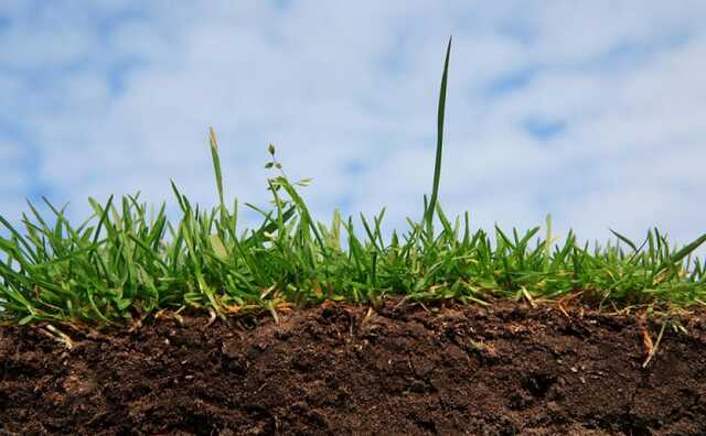 «Укргазбанк» предоставил 450 млн гривен кредита агропроизводителю из Днепропетровской области