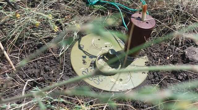 В Киевской области двое лесников подорвались на мине