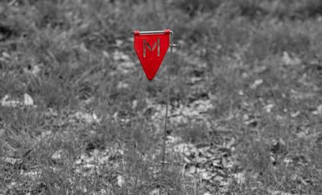 В Пуще-Водице продолжают разминирование местности, движение трамваев еще не восстановили