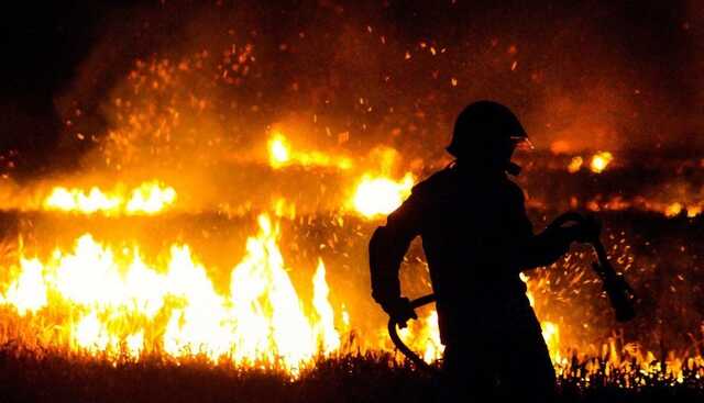 Россия снова горит: в Иркутске и Курганской области пожары