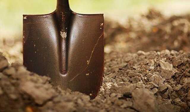 На Киевщине 20-летний американец помогает эксгумировать тела погибших во время оккупации украинцев