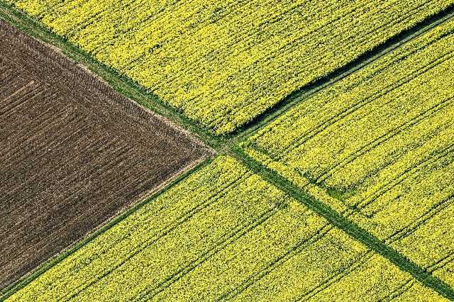 Автозавод в РФ вместо выпуска машин начал раздавать огороды сотрудникам