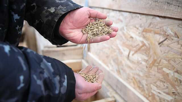 Страна мародеров. У Зеленского отреагировали на кражу украинского зерна Россией