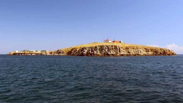 Российские оккупанты оставили на Змеином метки в виде буквы "Z"