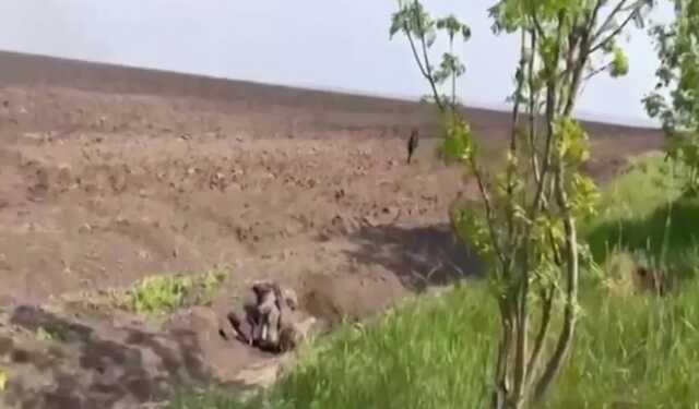 На Харьковщине российские оккупанты "нарвались" на ВСУ и были ликвидированы