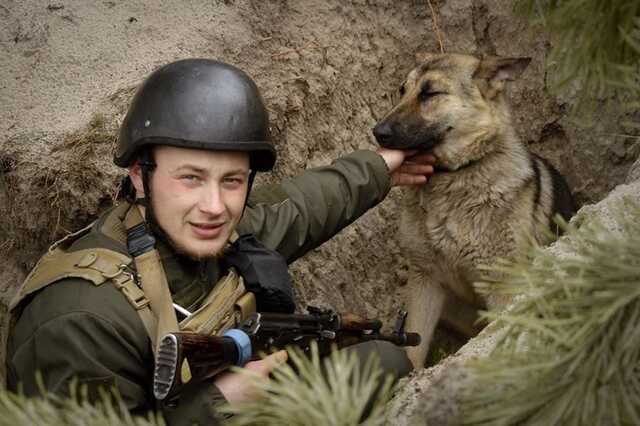 У Нацгвардії показали пса Фауста, який допомагає нашим захисникам боронити Україну