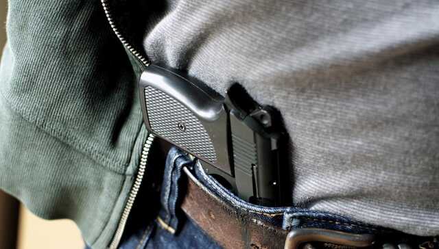 Более 80% украинцев хотят владеть оружием, - опрос в приложении "Дія"