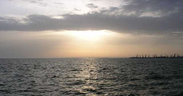 Из-за действий оккупантов в Азовском море начала гибнуть рыба, в Черном – дельфины